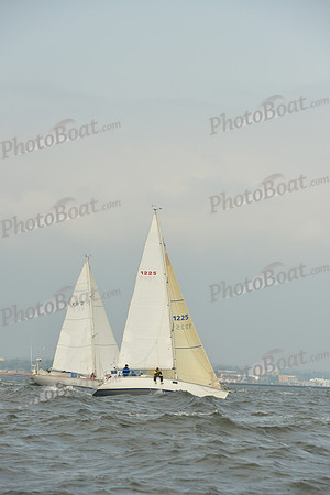2015 Vineyard Race A 164