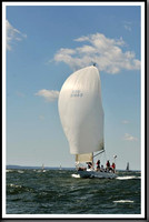 proof_2010_Vineyard_Race_1245