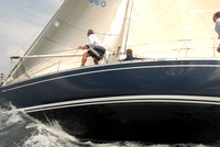 Swan American Friday 442