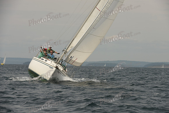 2016 Chester Race Week C_0753