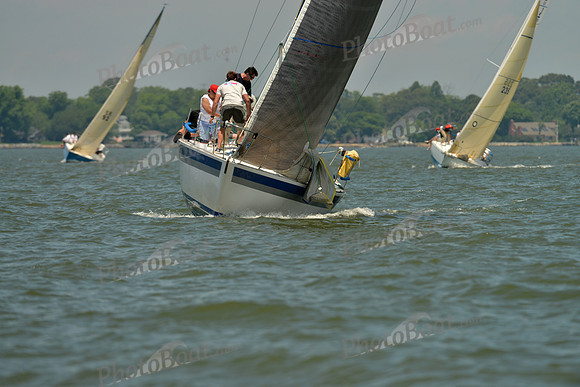 2016 Southern Bay Race Week F_0898