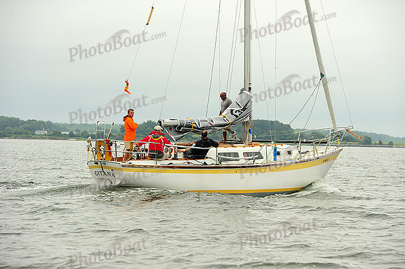 2014 Gov Cup B 233