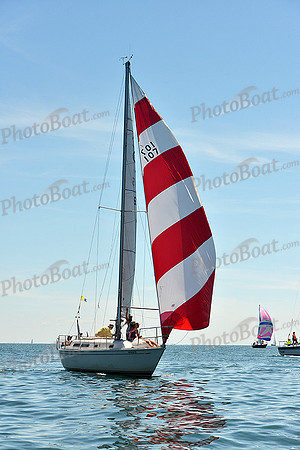 2015 Cape Charles Cup A 664