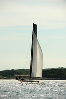2014 NYYC Race Week A 956
