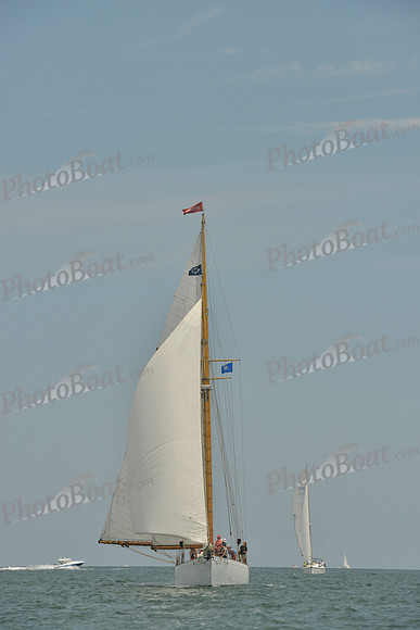 2018 Vineyard Cup B_0239