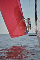2016 Vineyard Race A_0484