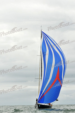 2012 Charleston Race Week C 230