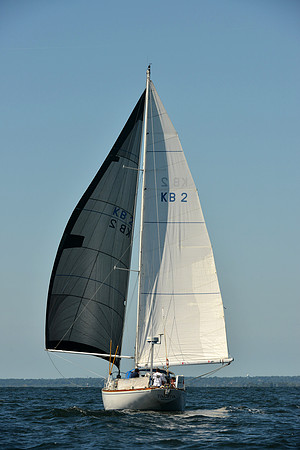2015 Vineyard Race C 353