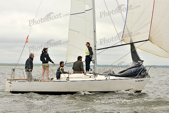 2014 Southern Bay Race Week A 831
