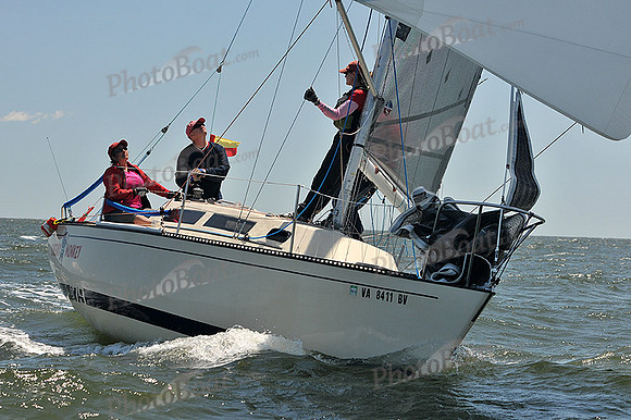 2014 Southern Bay Race Week C 1211