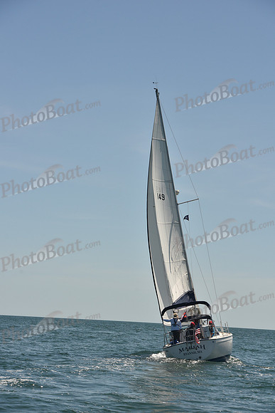 2024 Figawi 0117