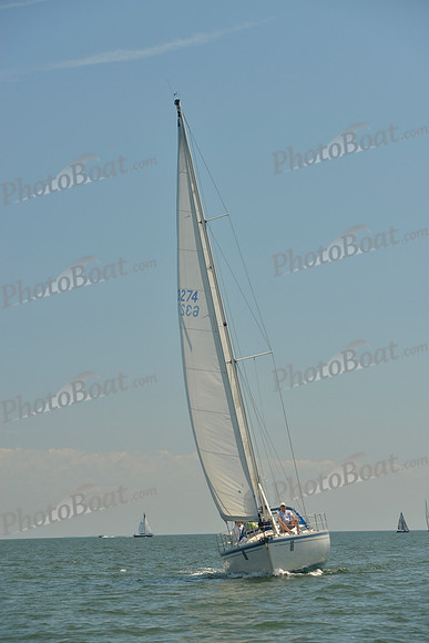 2017 Southern Bay Race Week B_1178
