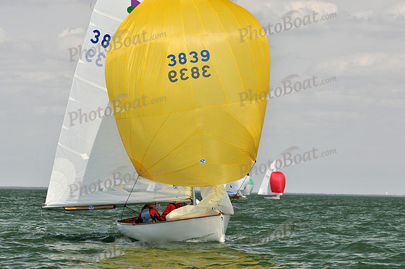 2012 Thistle Midwinters B 1436