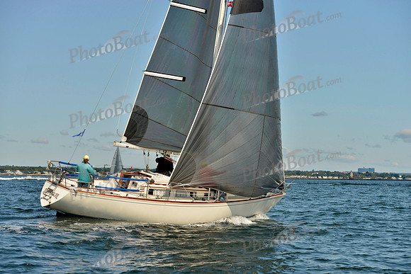 2017 Stamford Denmark Race_0208