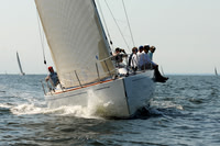 2011 Vineyard Race A 1232