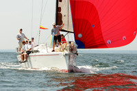 2012 Vineyard Race A 979