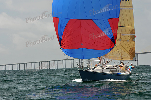 2012 Suncoast Race Week B 485