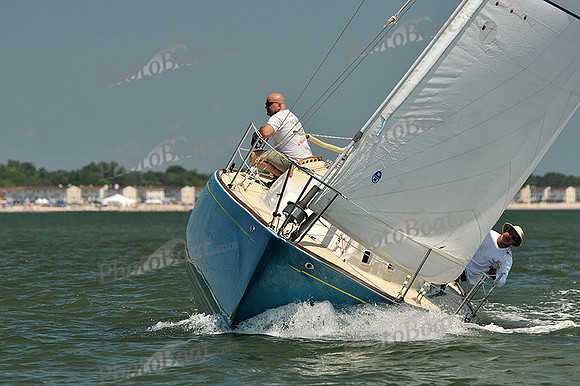 2013 Southern Bay Race Week C 1293