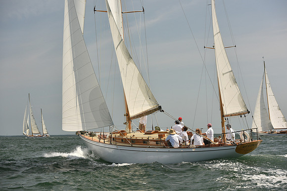 2018 Vineyard Cup A_0201