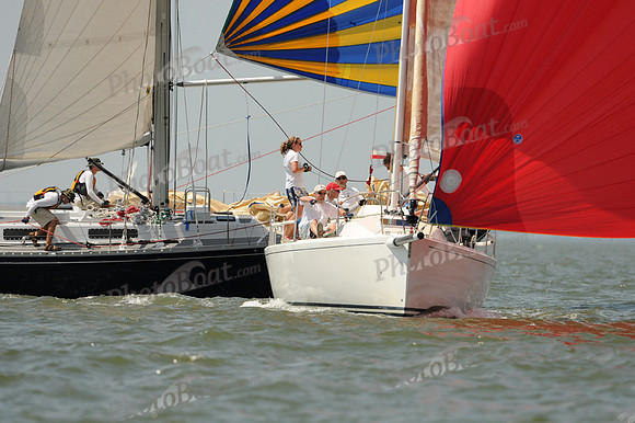 2012 Southern Bay Race Week A 910
