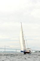 2014 NYYC Race Week F 365