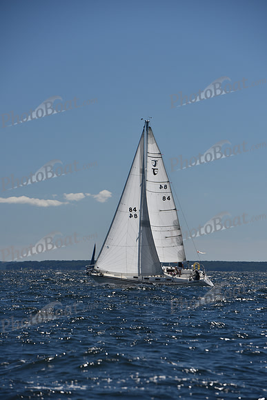 2022 Vineyard Race A_0231