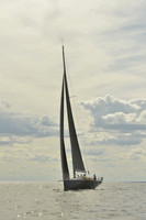 2016 Vineyard Race A_1587