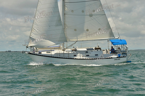 2018 Regatta del Sol al Sol_1364