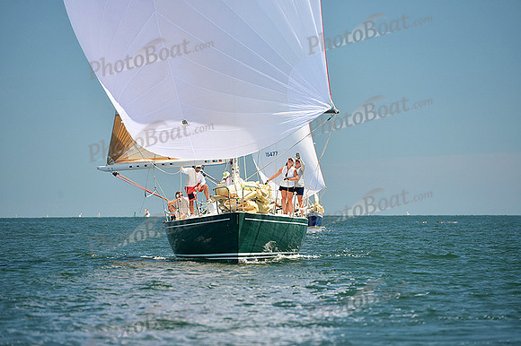 2015 Cape Charles Cup A 810
