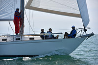 2019 Figawi_0242