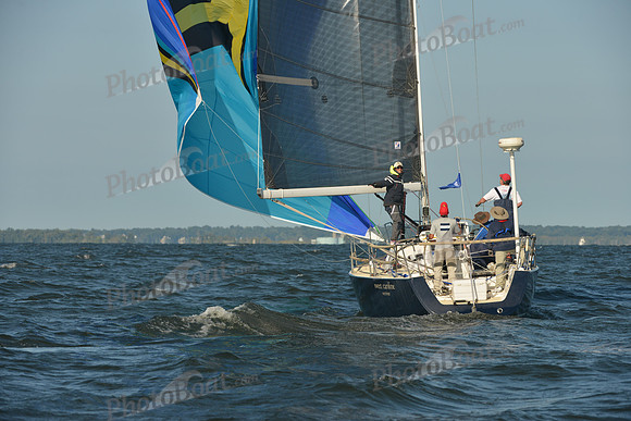 2015 Vineyard Race C 021