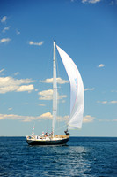 2014 Newport Bermuda A 303