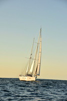 2016 Newport Bermuda Race_2744