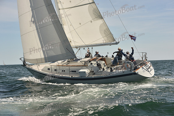 2024 Figawi 2439