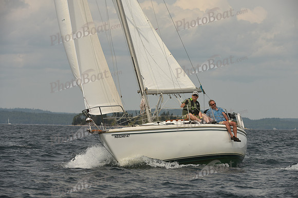 2016 Chester Race Week C_1276