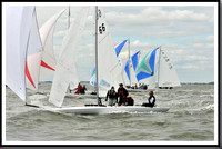 proof_2010_EScows_A 1589