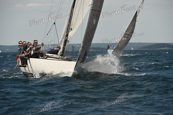 2016 Chester Race Week A_1497