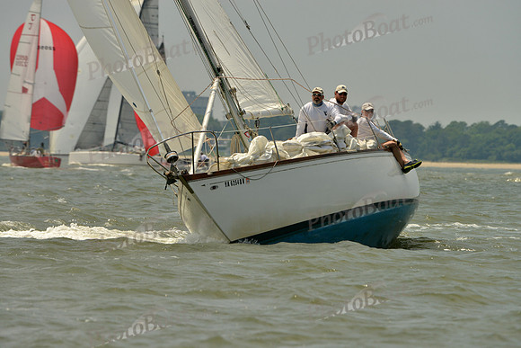 2016 Southern Bay Race Week A_1704