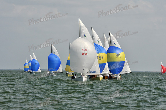 2012 Thistle Midwinters B 1390