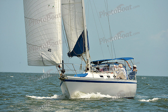 2015 Southern Bay Race Week C 1319