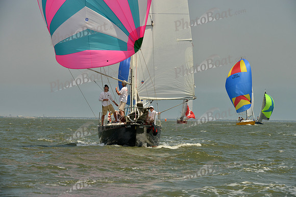 2016 Southern Bay Race Week A_1630