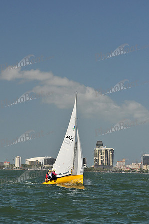2012 Thistle Midwinters C 491