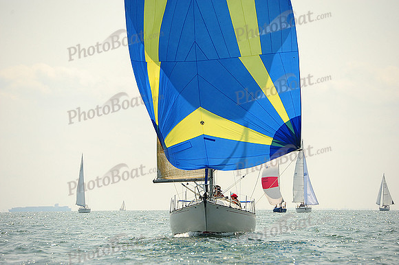 2014 Cape Charles Cup A 931