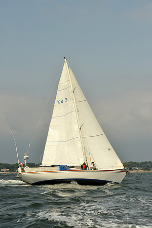 2015 Vineyard Race A 310