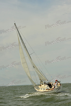 2016 Southern Bay Race Week G_0308