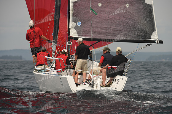 2016 Chester Race Week C_0593