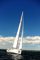 2014 Vineyard Race A 726