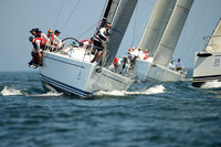 Tiburon