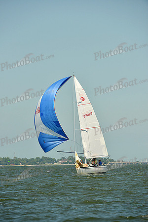 2015 Southern Bay Race Week A 1529