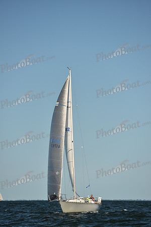 2015 Vineyard Race C 538
